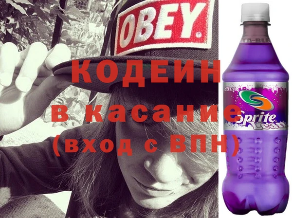 трава Гатчина
