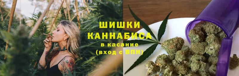 Канабис планчик  Змеиногорск 